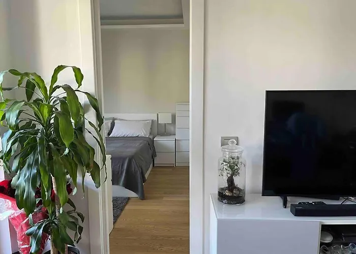 Moderno Bilocale Con Terrazzo